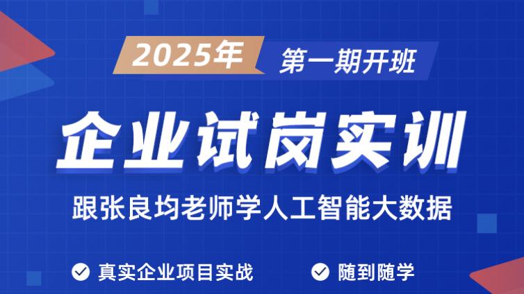 2025年第一期企业试岗实训开班,跟张良均老师学人工智能大数据