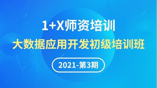 大数据应用开发第3期1+X（初级）线下师资培训班