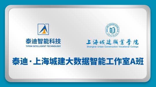 泰迪·上海城建大数据智能工作室A班【2024.07.29】