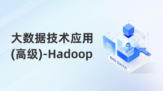 大数据技术应用（高级）职业技能提升（通用）