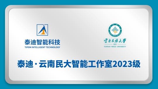 泰迪·云南民大智能工作室2023级【2024.11.06】