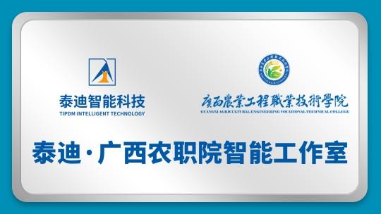 泰迪·广西农工院智能工作室【2024.12.30】