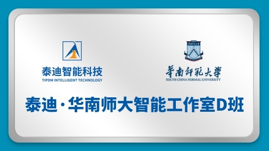 泰迪·华南师大智能工作室D班【2025.02.17】