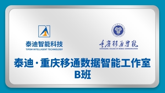 泰迪·重庆移通数据智能工作室B班【2025.02.17】