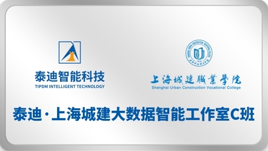 泰迪·上海城建大数据智能工作室C班【2025.07.15】