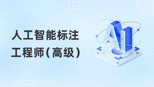 人工智能标注工程师（高级）（通用）