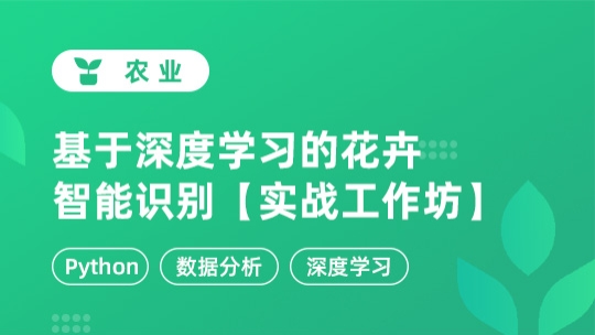 基于深度学习的花卉智能识别【实战工作坊】