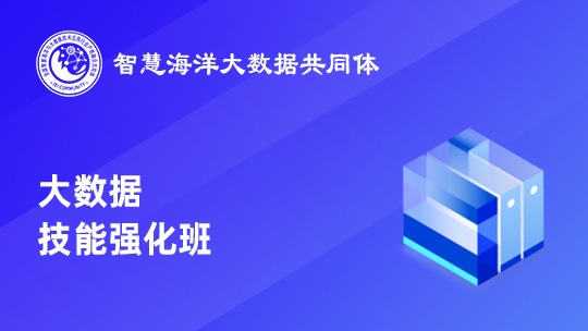 大数据职业技能强化班