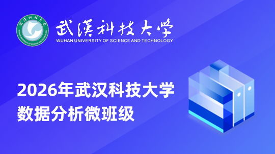 2026年武汉科技大学数据分析微班级